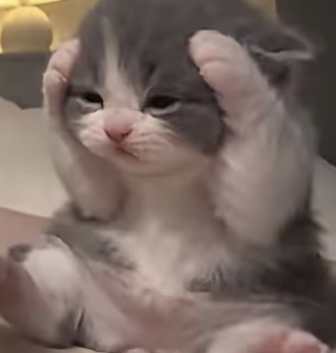 twaniimals's tweet photo. https://t.co/PMgXq2z6CH