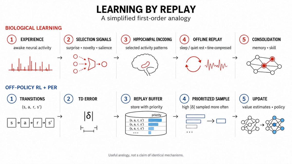 Vslowsprinter's tweet photo. Sleep turns today’s experience into tomorrow’s skill. Here’s how your brain decides what to replay, reinforce and remember. 

To learn how, keep reading 👇