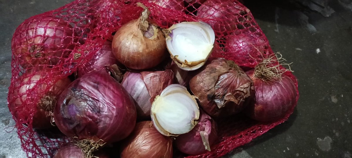 Gaurav56827872's tweet photo. "Disappointed with @letsblinkit @albinder. Received rotten onions in all 3 packets (Order ID: ORD9879331603). 1 pack smelled so foul, had to discard. Still support rejected full refund citing 'internal checks'. Need a full refund ASAP!" https://t.co/CIM8BveY6R