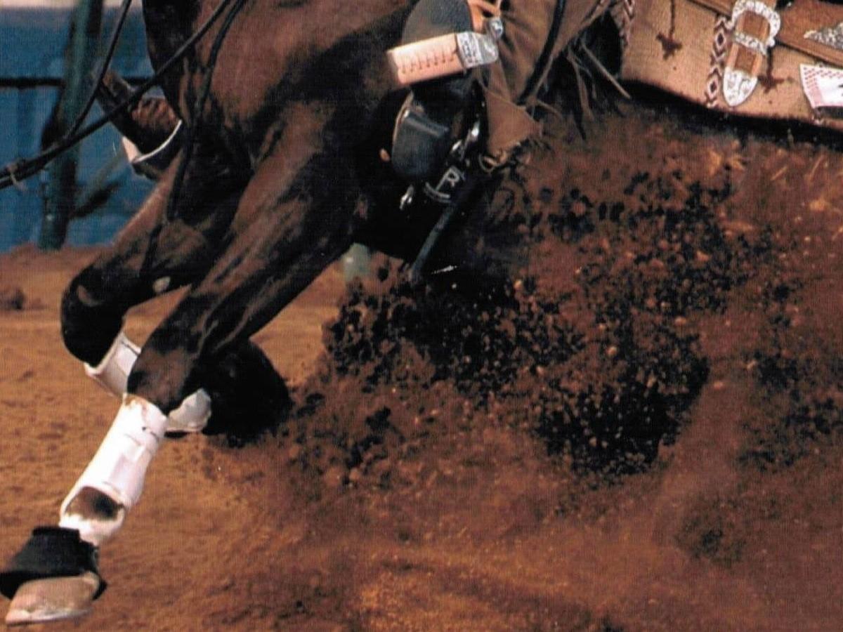 aramreining's tweet photo. Online gli #ordini di partenza della #domenica relativi all'evento #FuturityDellAdriatico e #QuintoShow del Campionato #ARAM-#IRHA-#FISE-#NRHA 2026.
Controlla se ci sei!
πππ
https://t.co/cLyAbxm0M3
#Reining #AbruzzoReining #MarcheReining #UmbriaReining #AramReining https://t.co/wAsYNa6EhZ