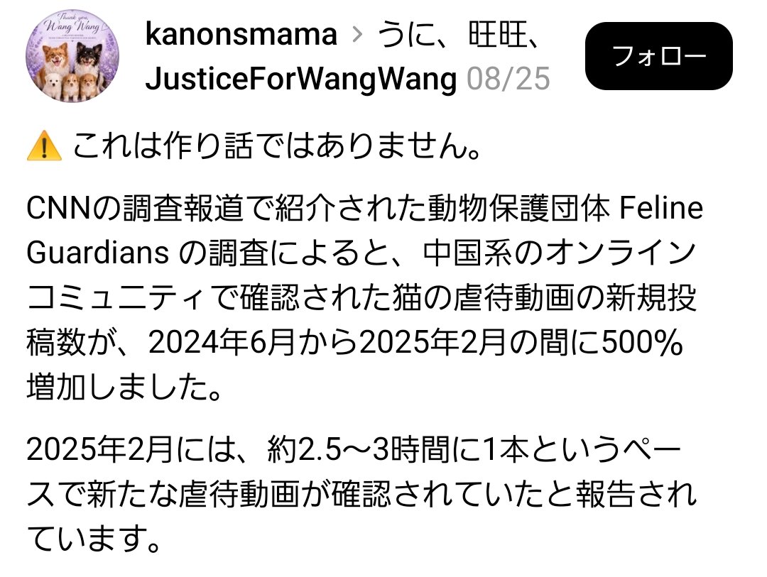 lockyadayo's tweet photo. 🚨【中国の猫の虐待動画新規投稿数の件数の増加に関して】CNN調査報道

虐待動画の新規投稿数が2024年6月～2025年2月間に500%増加したとのこ　と
このおぞましい増加背景は何なんだ..
※記事はThreadsより

#JusticeForWangWang 
#中国は動物愛護法の制定を
#動物拷問虐待ビジネス根絶
#APEC2026 https://t.co/KOxxf03T1l