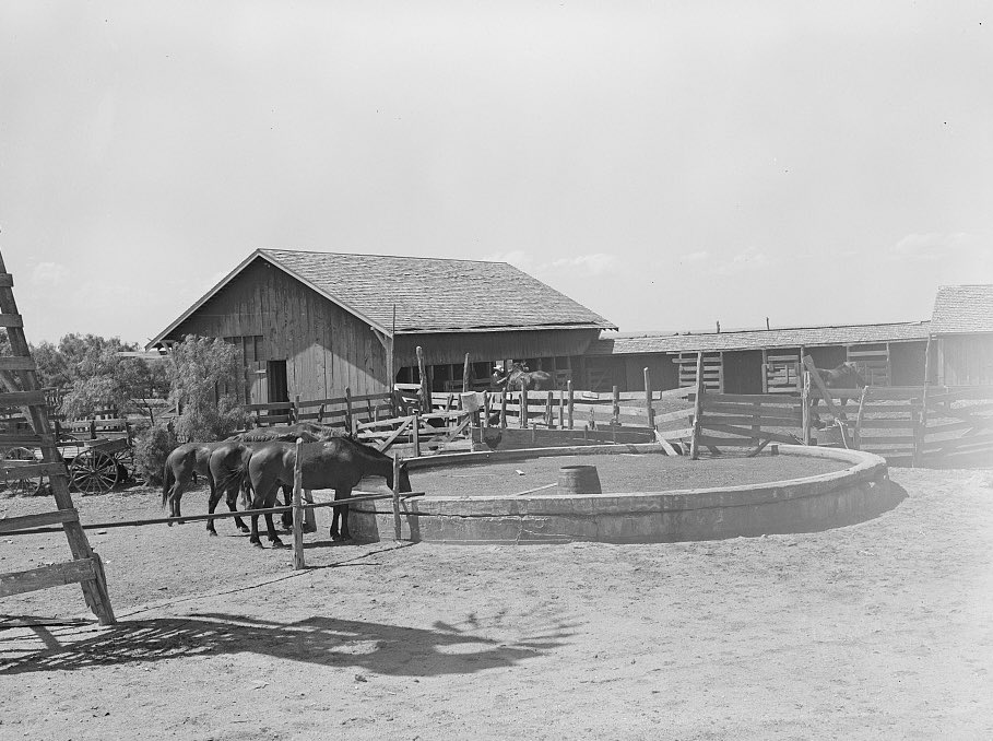 1thread6flags's tweet photo. Happy Saturday afternoon, friends!
Pic:  Spur, Texas, in abt 1939 by Russell Lee https://t.co/c9eZIHb5BT