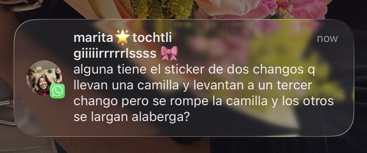 peachybqbe's tweet photo. JAJAJAJAJAJAJAJAJAJJA https://t.co/0Dr2uXq4Tr
