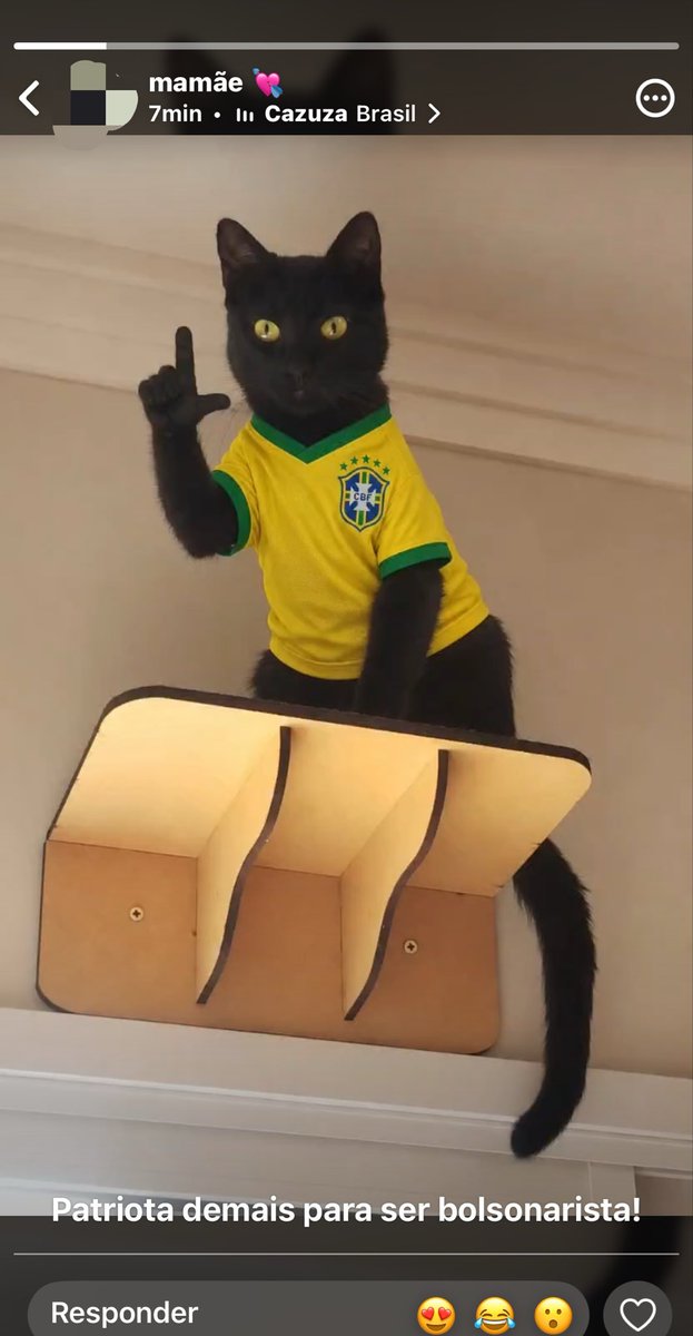 uchisadez's tweet photo. minha mae aprendeu a usar a ia nessas eleicoes e nao para mais https://t.co/0GOQ8kf1D9