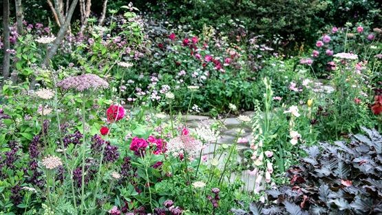 RoryClipsham's tweet photo. Learn How to Embrace Chop & Drop Gardening Year-Round https://t.co/F1cXwHqAQU speed up of clearing flower beds at the end of the season, quick way to mulch & feed soil #RealEstate #property #inspection #OutdoorSpaces #CurbAppeal #houses #townhomes #homes #lifestyle #investment. https://t.co/cE2KRFqhvO