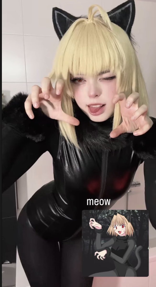 shigeniisama's tweet photo. arctober 

cat arcueid https://t.co/22W8wnvZ7L