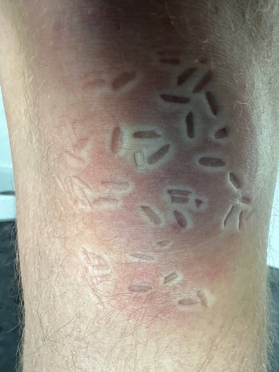 HerrinSas's tweet photo. Strafen müssen sein, wenn das Köterchen ungezogen ist. Eine Stunde auf Reiskörnern in der Ecke knien ohne jegliche Ablenkung, da gibt's dann genügend Zeit um übers Fehlverhalten nach zudenken.  

Was sind eure liebsten Strafen? 

#Herrin #Strafen #Sklave 
#aua #Schmerz https://t.co/b7sQSfYxOa