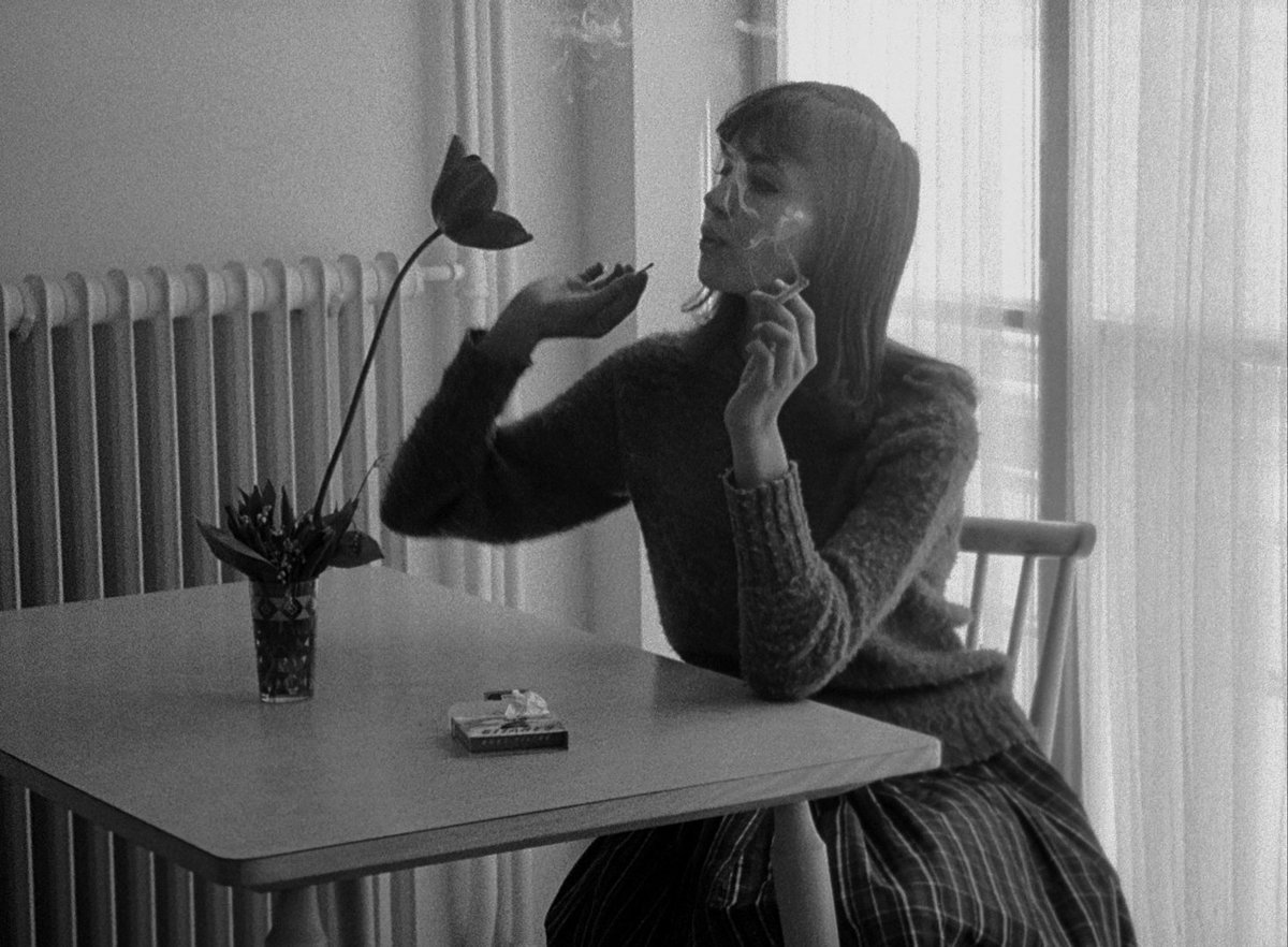 4NReveur's tweet photo. Le Petit Soldat (Jean-Luc Godard, 1963) https://t.co/aqvcbgCc4Z