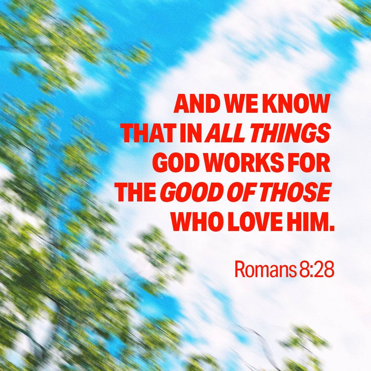 Samaritansguide's tweet photo. “And we know that in all things God works for the good of those who love him, who have been called according to his purpose. ”
Romans 8:28 NIV

https://t.co/Ps1Gf4kdKq https://t.co/XnvCuazIz5