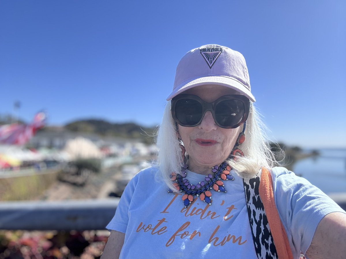 HowToWorkARoom's tweet photo. At our Larkspur Overpass No Kings protest wearing my fave appropo tee shirt! https://t.co/b9OJHcLpfO