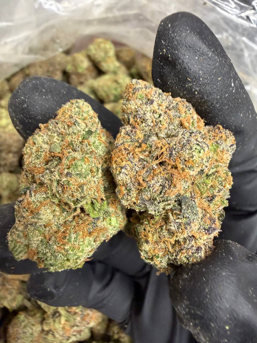 dawg_in88398's tweet photo. Houston📍 PLUG
7/50 14/90 Zip/150
2Zip/250
100 DOLLAR ZIP SPECIALS🔥
#houston #houstontexas #htx #htxplug
#houstonplug #weed #htxweed #katyTx
#Superbowl #tourism #baytowntx #houstontx #downtown #springbreak #NewYears #htown #gta6 #houstonweed #weedhouston #FairviewSt https://t.co/ijkEGn7ObH