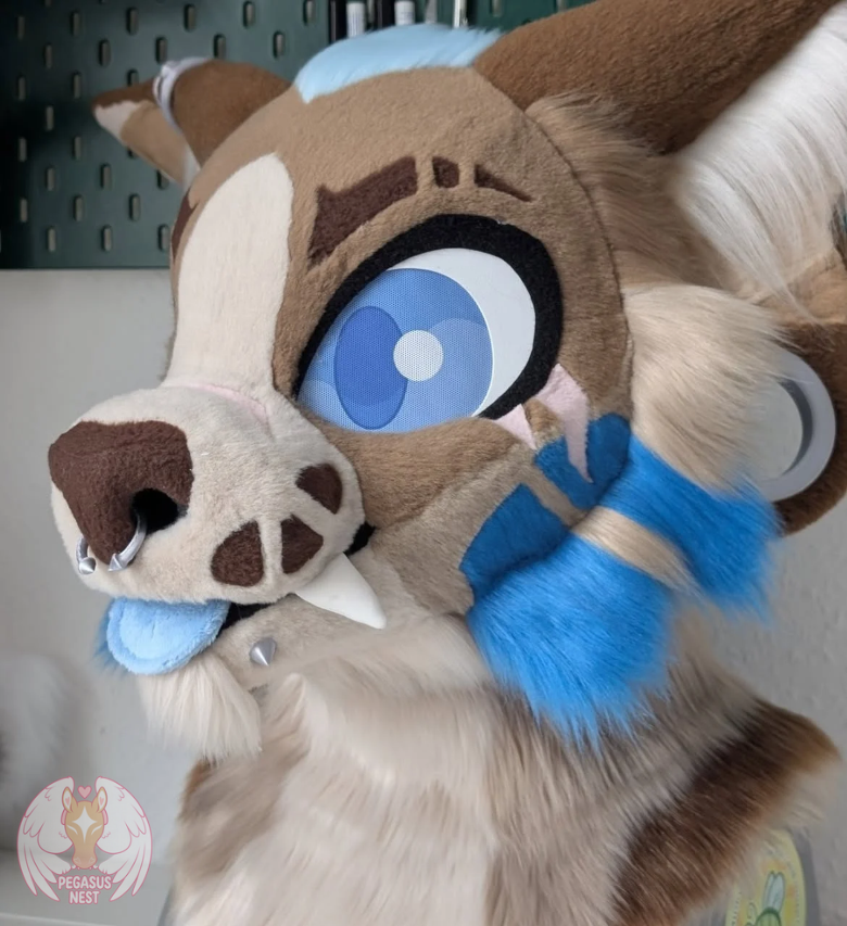 pegasusneszipf's tweet photo. Surprise! Another custom commission finished!
This custom fursuit head was made by my assistant, and I'm really happy with how it turned out!
No WIPs this time because he was completed in around 5 days of nonstop work.
We're always working to improve our style and bring unique designs to life. Stay tuned for more upcoming projects!
Thank you for supporting PegasusNest!

#furryfandom #furry #fursuit #fursuiting #fursona #fursuitmaker #customfursuit #fursuitcommission #fursuithead