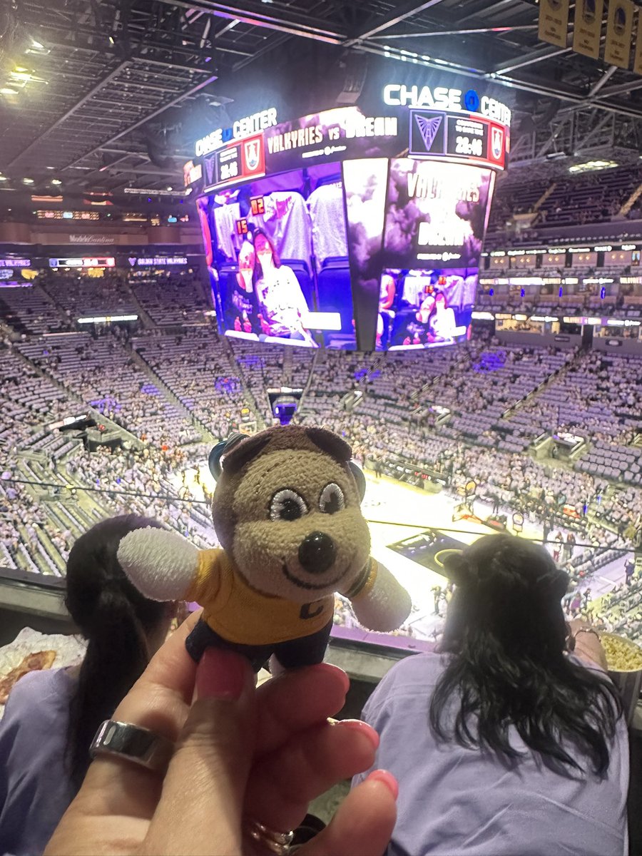CalFan92's tweet photo. Oski-bubu is cheering on the Valkyries at Ballhalla! https://t.co/Hy1UzPMFC6