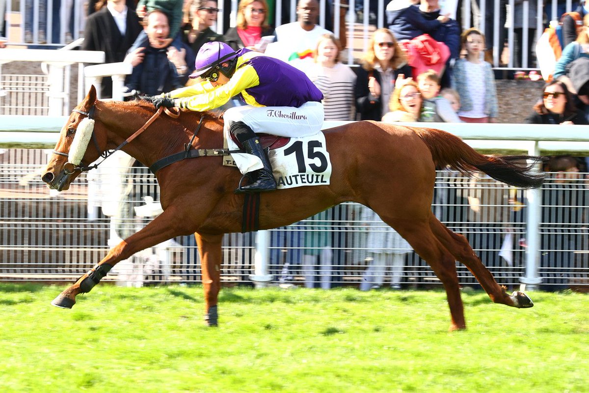 CharlyMilpied's tweet photo. Petit clin d'œil du soir, nous avons appris la retraite d'Henry Brulard aujourd'hui !

Après 10 années de compétition, le valeureux Henry Brulard prend sa retraite.
119 courses - 10 victoires ! 👏 https://t.co/mRHdYulnYU