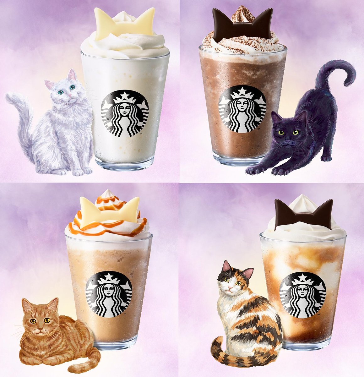 sweetroad5's tweet photo. １０月１９日(月)よりスターバックスでは、フラペチーノ（R）全種類を対象に、黒耳・白耳のねこ耳チョコレートをトッピングして、ハロウィン仕様にアレンジできる『ねこ耳カスタマイズ』がスタートします✨
https://t.co/Ti8iWg0hkK https://t.co/JL47J8uVMU