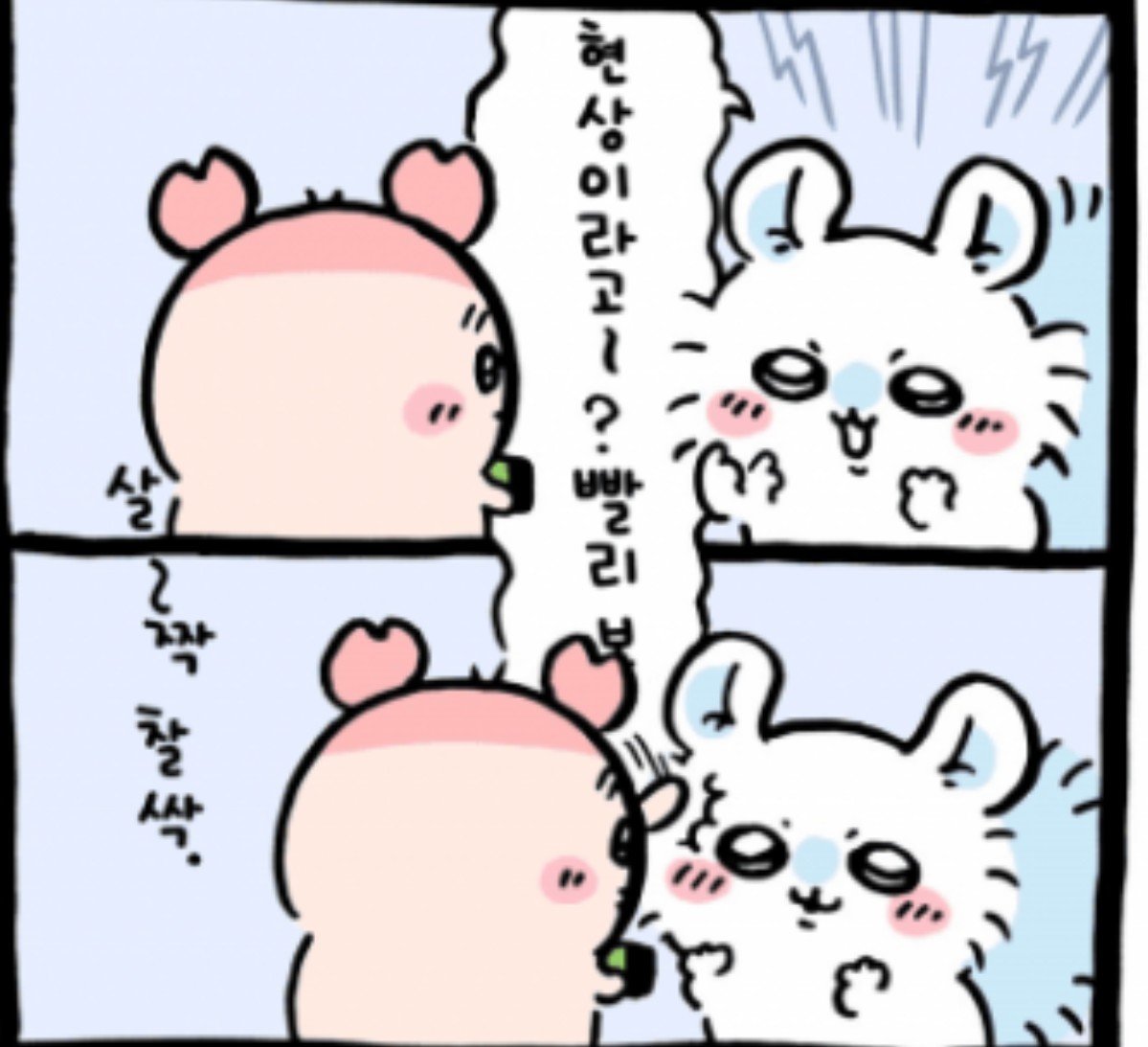 Momong1227's tweet photo. 카니는 진짜 너무 너무 멋진 아기야 마냥 착하고 아무것도 모르는게 아니라 똑순이에 강단있는 멋진 차카니.. 어떻게 안사랑해 https://t.co/fVDX6HNkG4