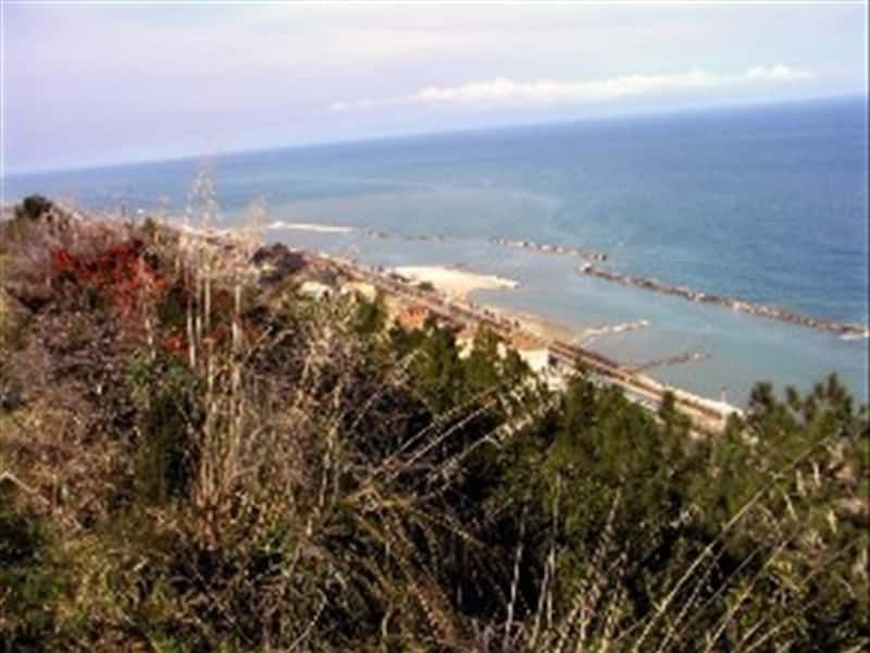 mrjeffknox's tweet photo. #ufotwitter #ufox #Ufohistory
Today in UFO History - Column of Water
October 18, 1978 — Pedaso, Fermo, Italy
1/ Federico Ricci and his son Gabriele are in the fishing boat Gabriele Padre four miles off the coast of Pedaso, Fermo, Italy, when they see a column of water rising from the Adriatic Sea 100 feet into the air and 500 feet away from them.