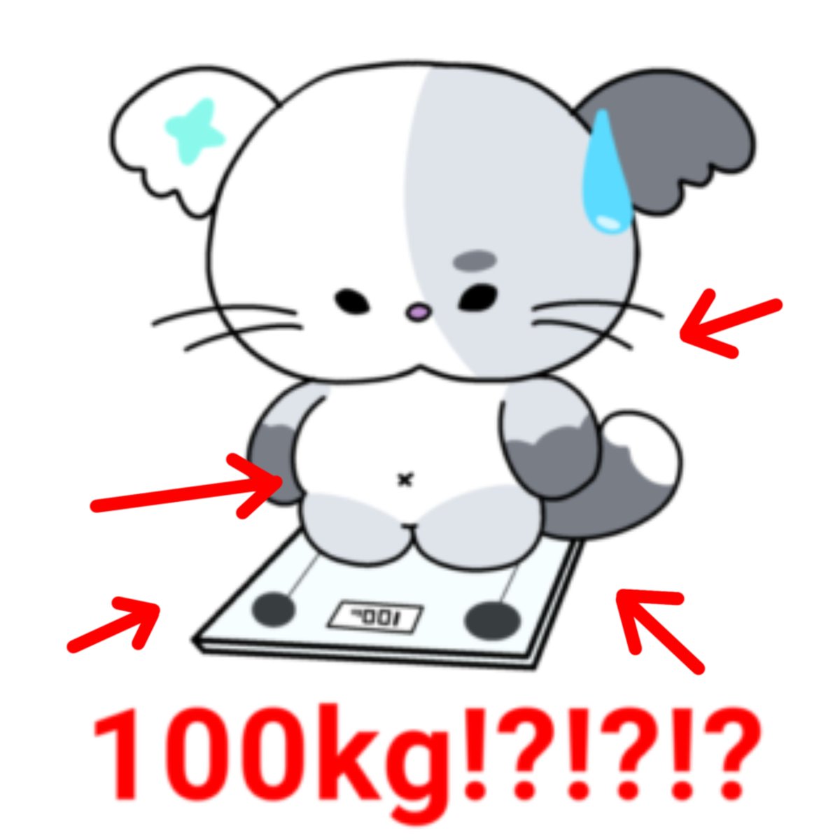 droghwa's tweet photo. fat https://t.co/Hqs7Ct582Y