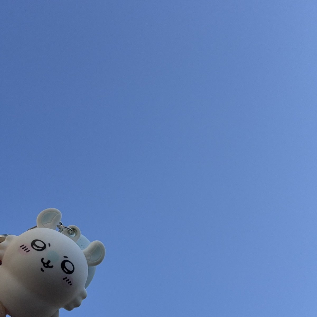 malony_ynolam's tweet photo. 今日も天気いいけどお仕事。
とぅるりら〜。 https://t.co/M5cluS3cAv