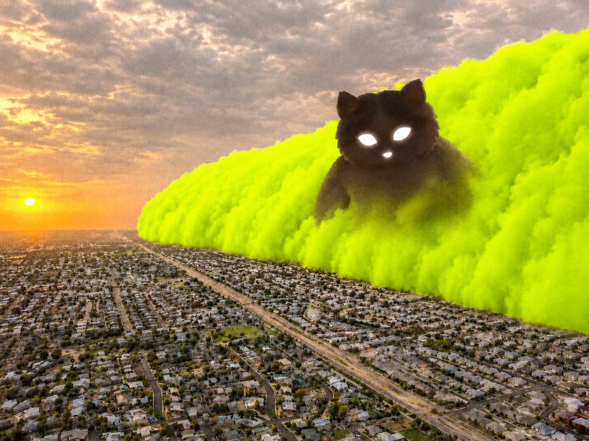 0xPnthr's tweet photo. $Owowo gonna cover the Robinhood city by tomorrow? https://t.co/ueYlTALGyi