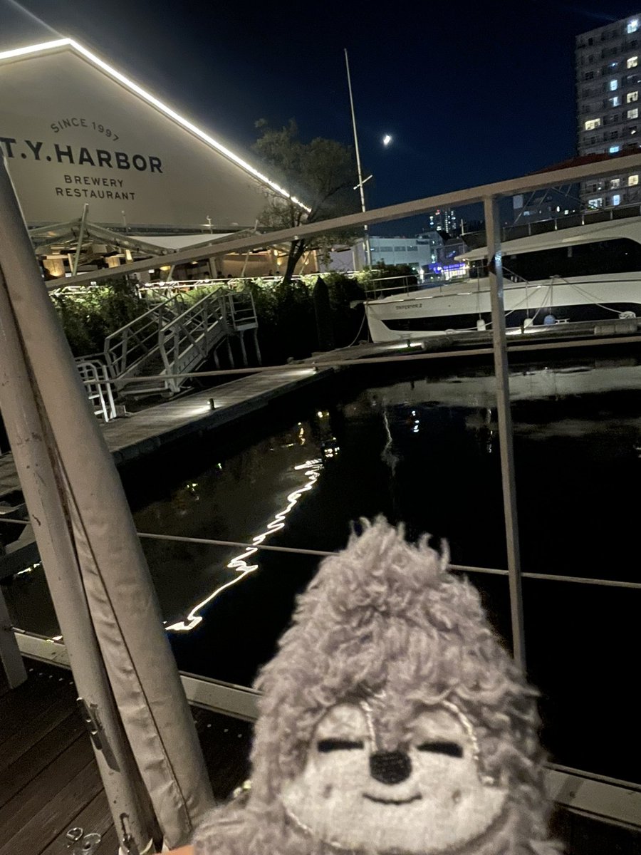 ccb1003's tweet photo. 数年ぶりに会う友人とちょっとオシャレディナー⛵️水上ラウンジのデッキ席、オープンで気持ちよかった！ただし、ここって浮いてたのね🫨ゆらゆら揺れるので船酔いする人は室内オススメ
仕事以外にもボランティアや後進の育成にいつも燃えてる彼女、歳を重ねてからの生き方に刺激を受けたいい夜でした🥂 https://t.co/fA8J7F8Ulg