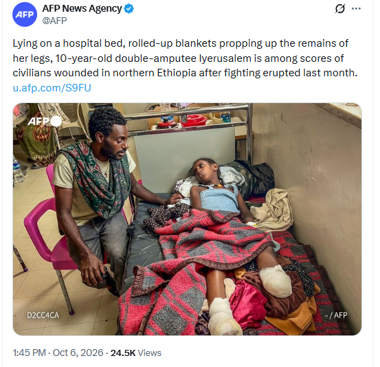 Romha12's tweet photo. @reda_getachew Getachew, what is @AbiyAhmedAli’s army doing in Tigray? Are they delivering medicine or lifesaving aid? Then why are drones&amp; fighter jets killing our people? #Tigray needs humanitarian aid, not military force.
Stop diverting attention from the suffering of Tigrayans.
#PeaceNotWar https://t.co/9BrtzdJi04
