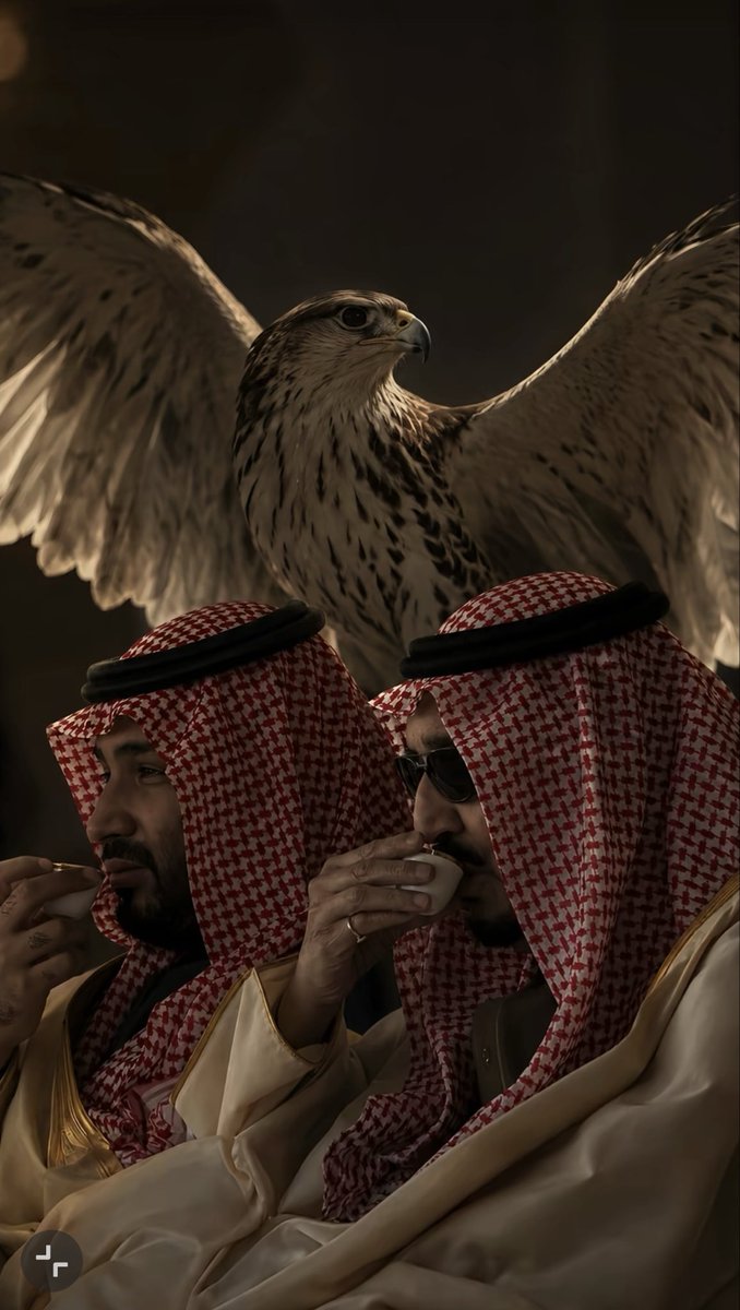 at_th2's tweet photo. جعل من عاداكم للهلااك🇸🇦🫡🤍
#المادة_الرابعة_والثلاثون 
#المادة_34 https://t.co/2csddxOHTR
