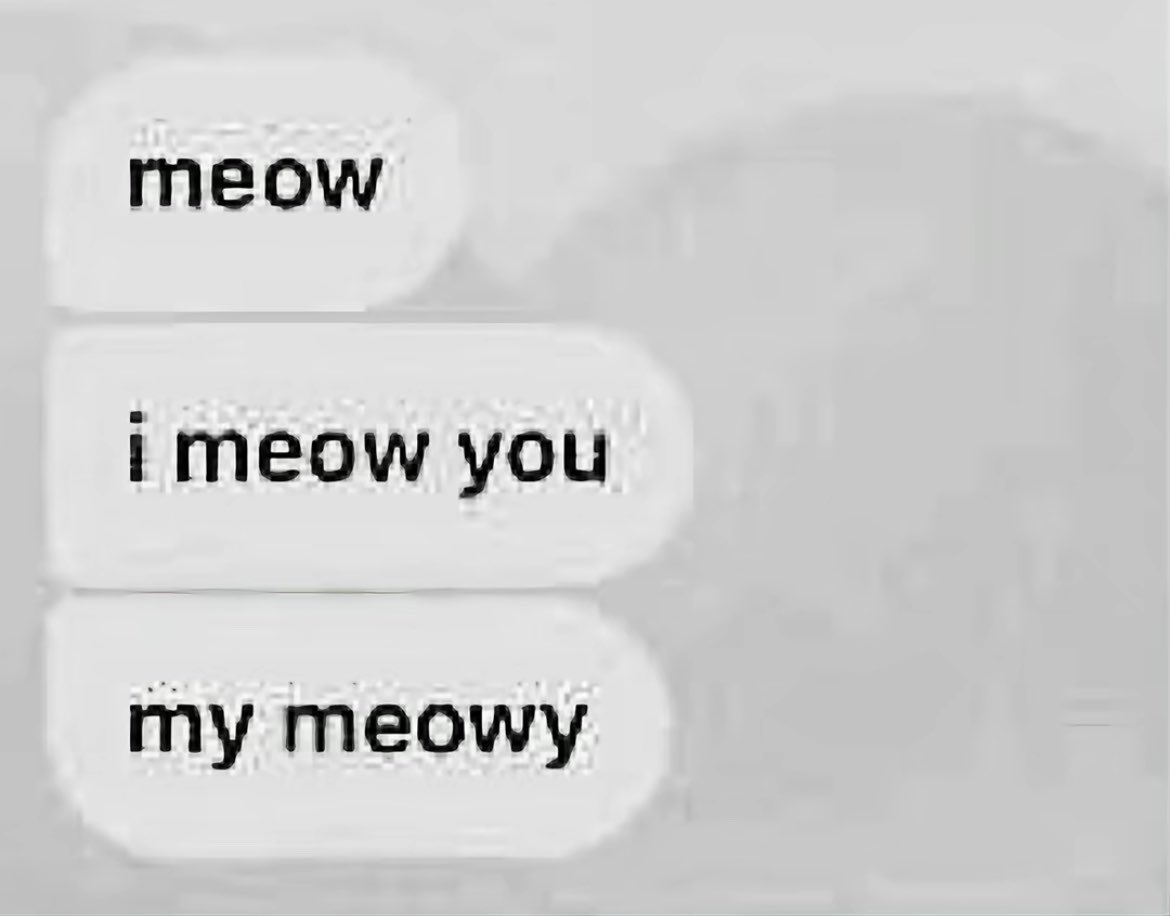 miu6768's tweet photo. meow meoow meovv https://t.co/wfeHWIlbST