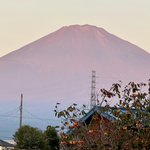Photo by はた@釣りよか・佐賀よか (@hatasan0907)