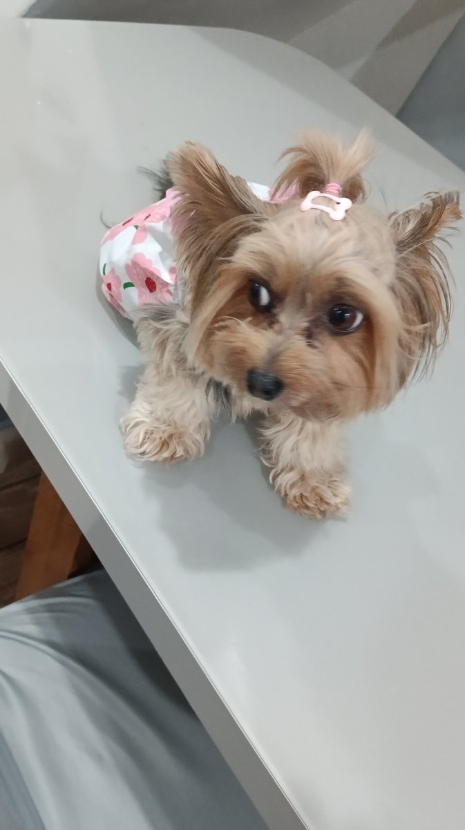 quemehbaco's tweet photo. ESTAMOS INDO NO ANIVERSÁRIO DA NOSSA PRIMA https://t.co/KOJqYOnFZa