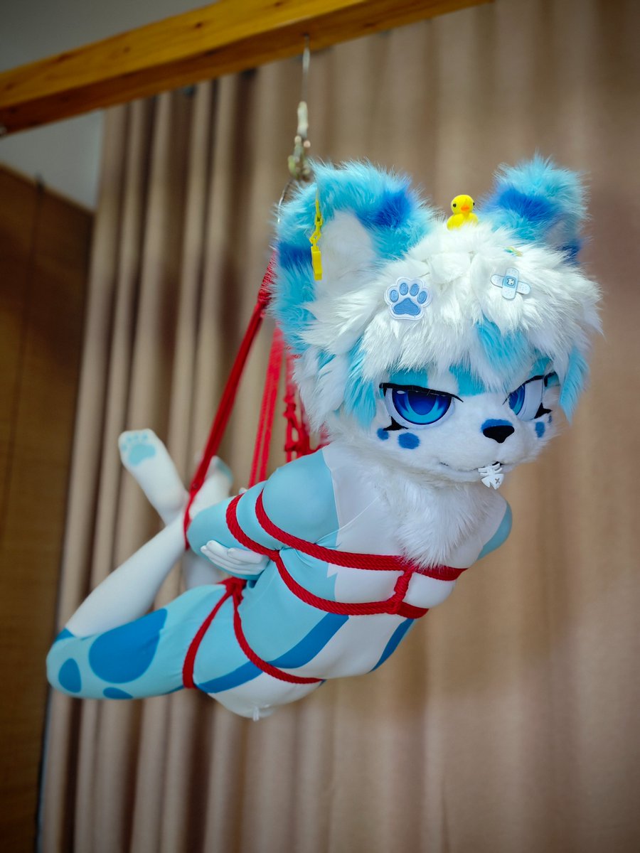 dalingdong_qwq's tweet photo. 可恶💢快放我下来！
捆绑、摄影：@robin_lieflat https://t.co/W8r4aWkHsP