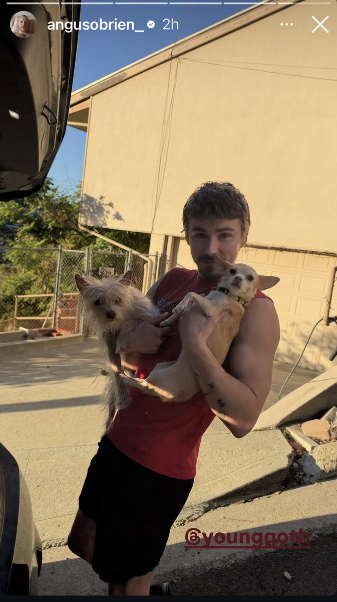 AOBriendaily's tweet photo. Angus is hanging out with Miles and his adorable doggos ❤️❤️❤️ https://t.co/MW6EYzVxrl