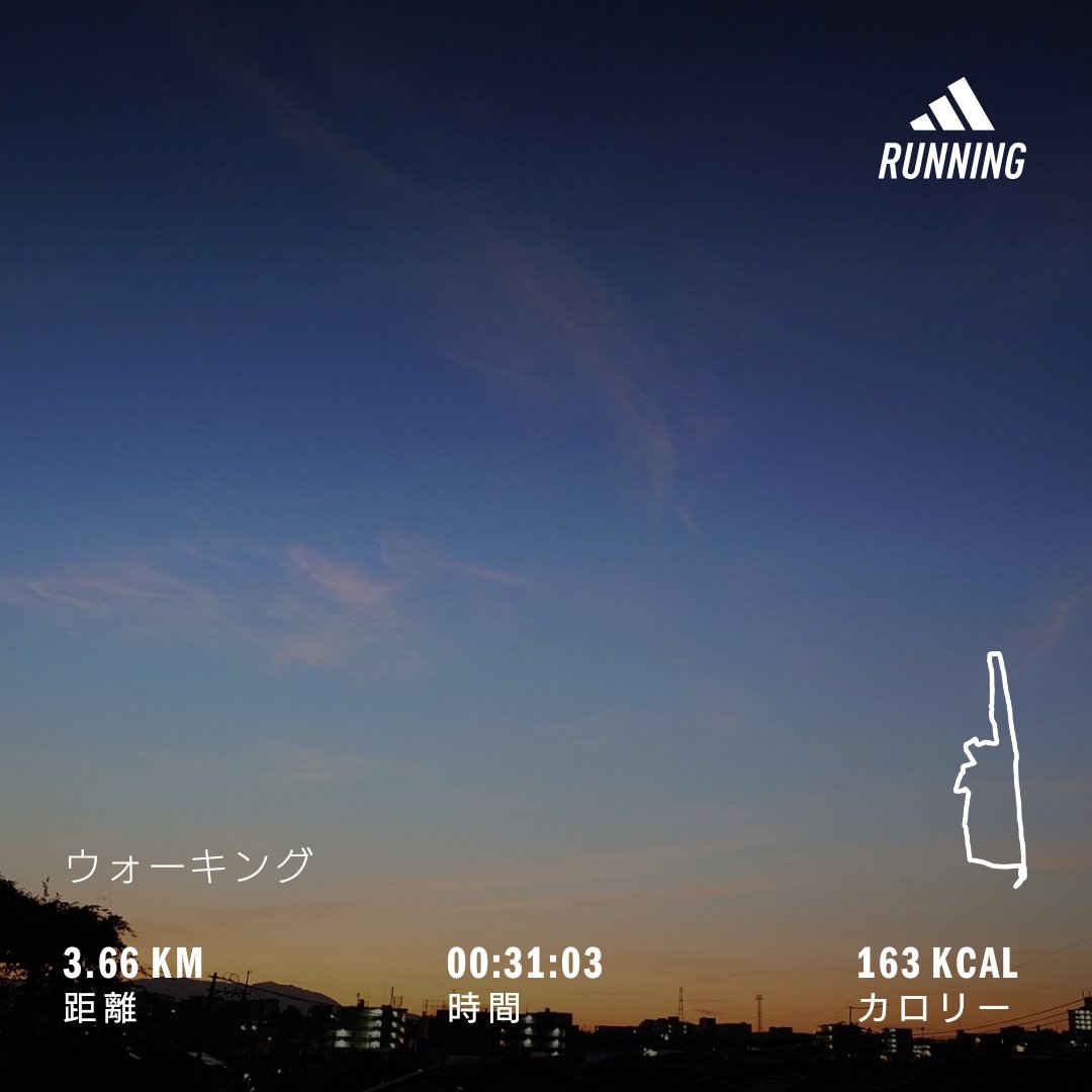 Poptone8's tweet photo. #ウォーキング
#今のソラ
#イマソラ
#adidas
#vitality https://t.co/epVnKoPGc7