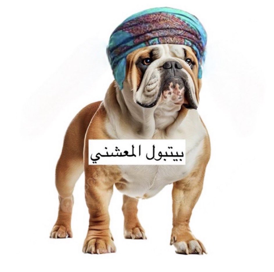 NHNO371369's tweet photo. @8c4rr هذا الكلب 🤣 https://t.co/BdzNVgFPGh