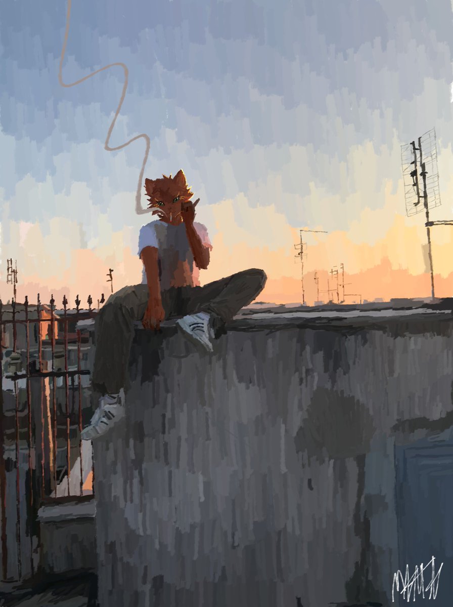 dawgboymanta's tweet photo. stray cats really climb up anything and look at you like this /comm https://t.co/NUuvlsy4cj