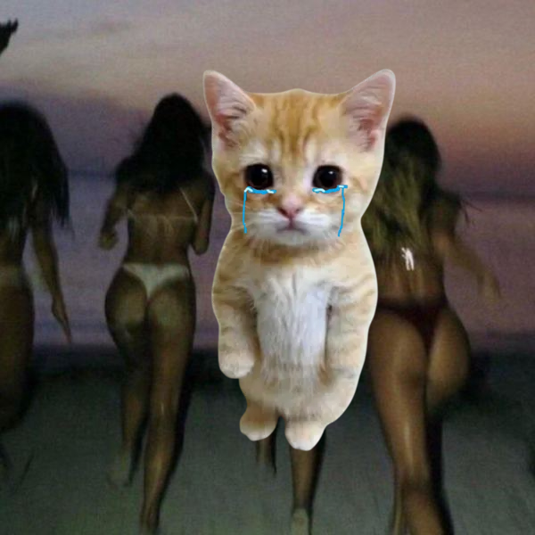 gato_pf tweet picture