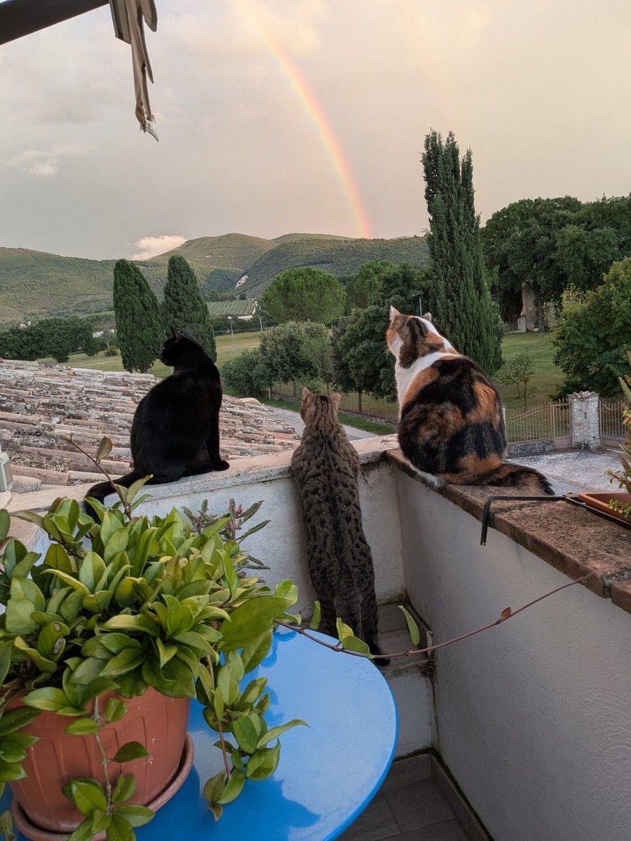 catsforlesbians's tweet photo. when you and your friends are all lesbians https://t.co/zO3sT1hVvj