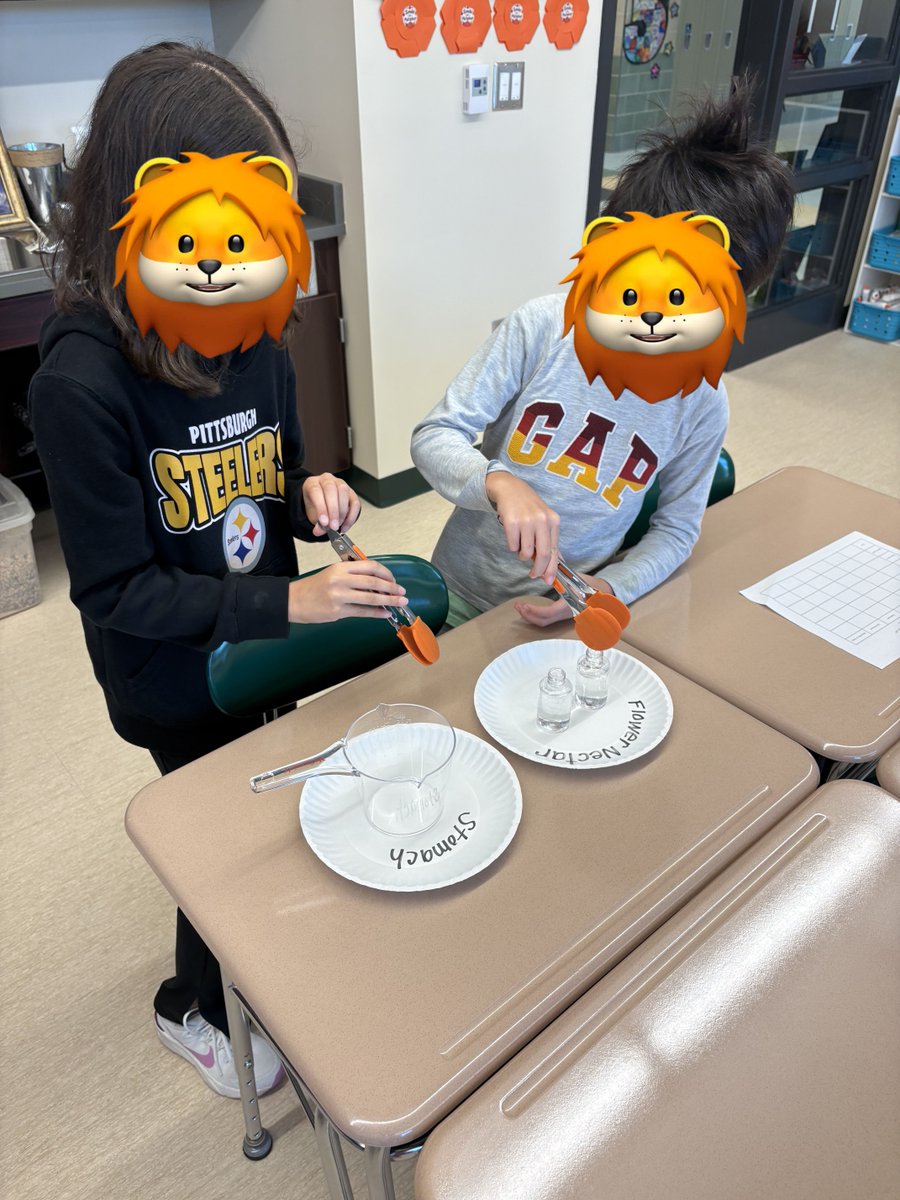SouthFayetteEA's tweet photo. 4th graders in Lori Leroux's WIN/enrichment class wrote bird stories, built birdhouses inspired by them and tested beak tools to graph how beaks affect feeding. 🐦💚🤍 #SouthFayetteEA #ProjectBasedLearning https://t.co/bnK8s79Jww