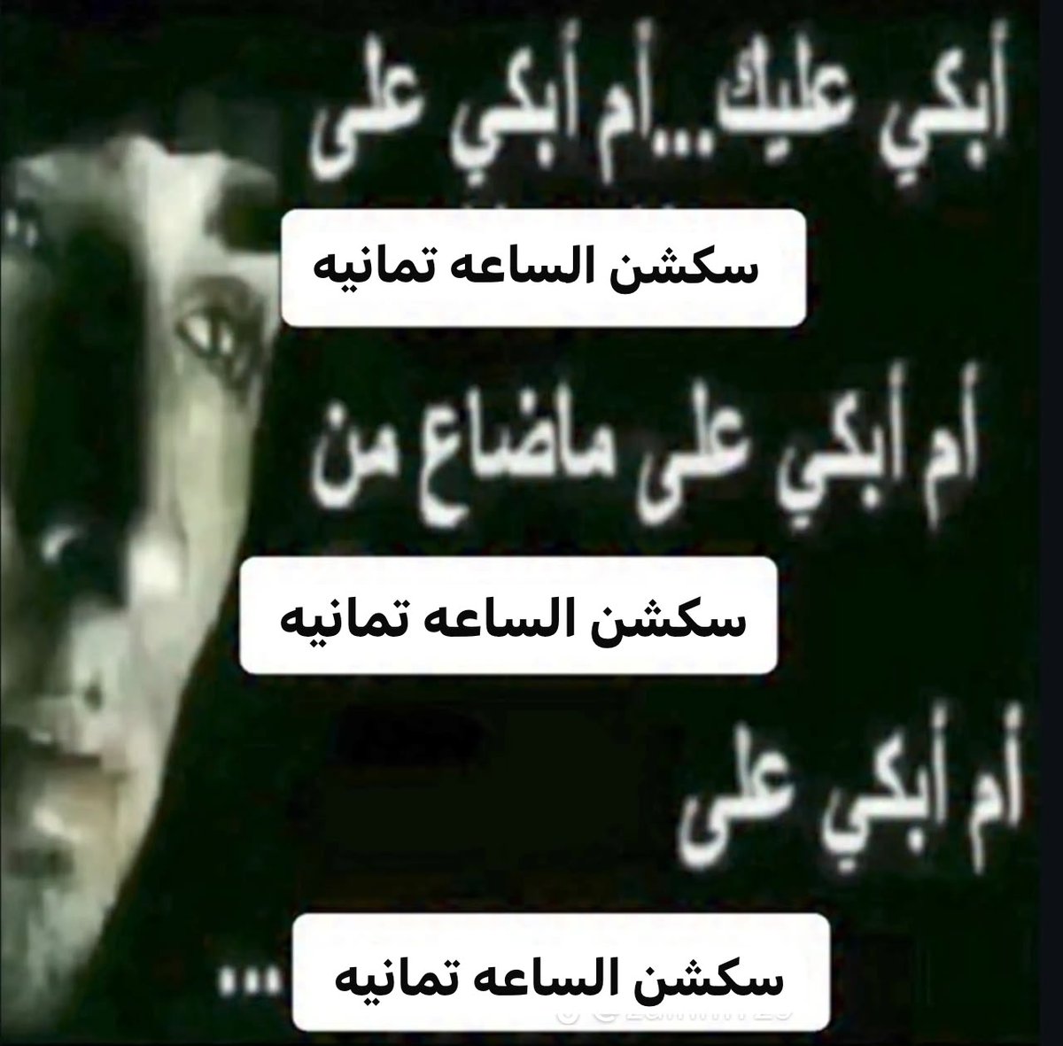 Judy_ahmeed's tweet photo. https://t.co/ZeDZ43ocp1
