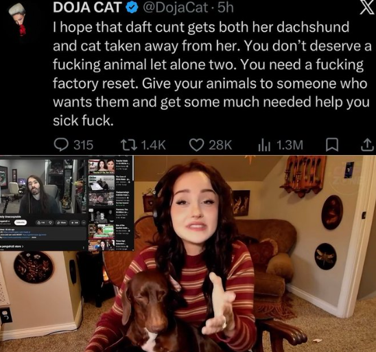 The_HappyLounge's tweet photo. π¨ Lavlune controversy grows
Old Discord screenshots tied to FoidElf are resurfacing while Doja Cat says her pets should be taken away
The logs are unverified
Cool fact: Lavlune also streams as FoidElf
Too far or fair scrutiny?
#FoidElf #DojaCat https://t.co/bj3GBchyIh
