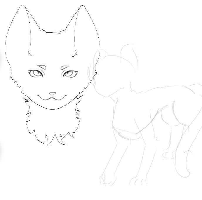 airfre7ja's tweet photo. 𑣲 WIPS

Working on my warrior cat oc and somebodies Fursona ;3

Made by me
#oc #wip #workinprogress #fursona https://t.co/jPdaLLrhJk