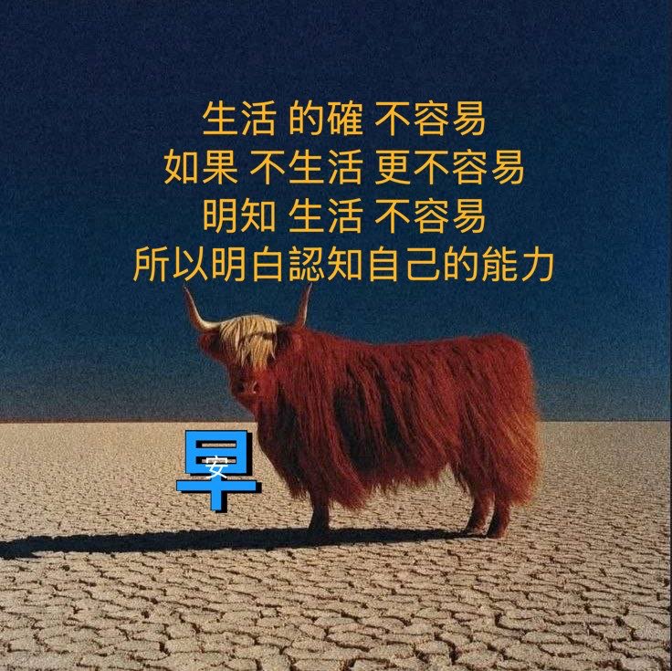 lee0937889499's tweet photo. 生活 的確 不容易
如果 不生活 更不容易
明知 生活 不容易
所以 明白 認知 自己的 能力
問講達岡召洽兜馬喜幾霸葷
URBZ N IMBZ 2 SO BEZ TAIWANESE. https://t.co/UinUpmzeIu