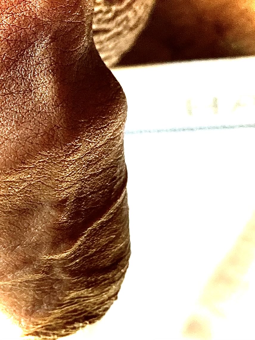 Antoniotutio's tweet photo. te gustaría tenerla dentro hasta exprimirle el jugo💦💦🍆
#uncutdaddydick #uncutdaddycock #cocktober #uncut #dick #foreskin #4skin #cock https://t.co/FDWnn7Y5Up