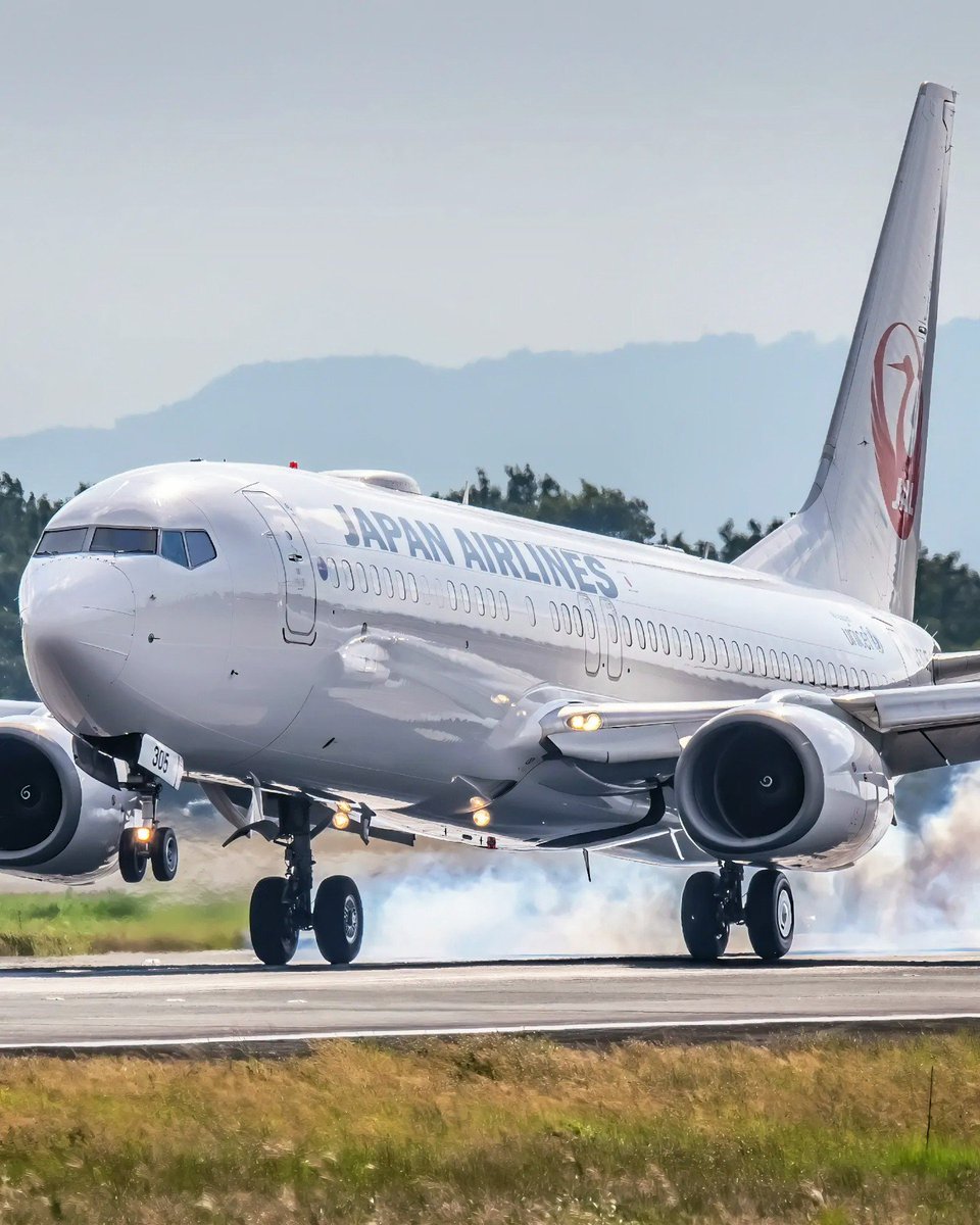 douglasdc1040's tweet photo. 熊本空港へ着陸したJALのB737-800です😉
マニアの方ならすぐわかる通常〇〇線専用機です🤗 https://t.co/ptsVGsgxPu