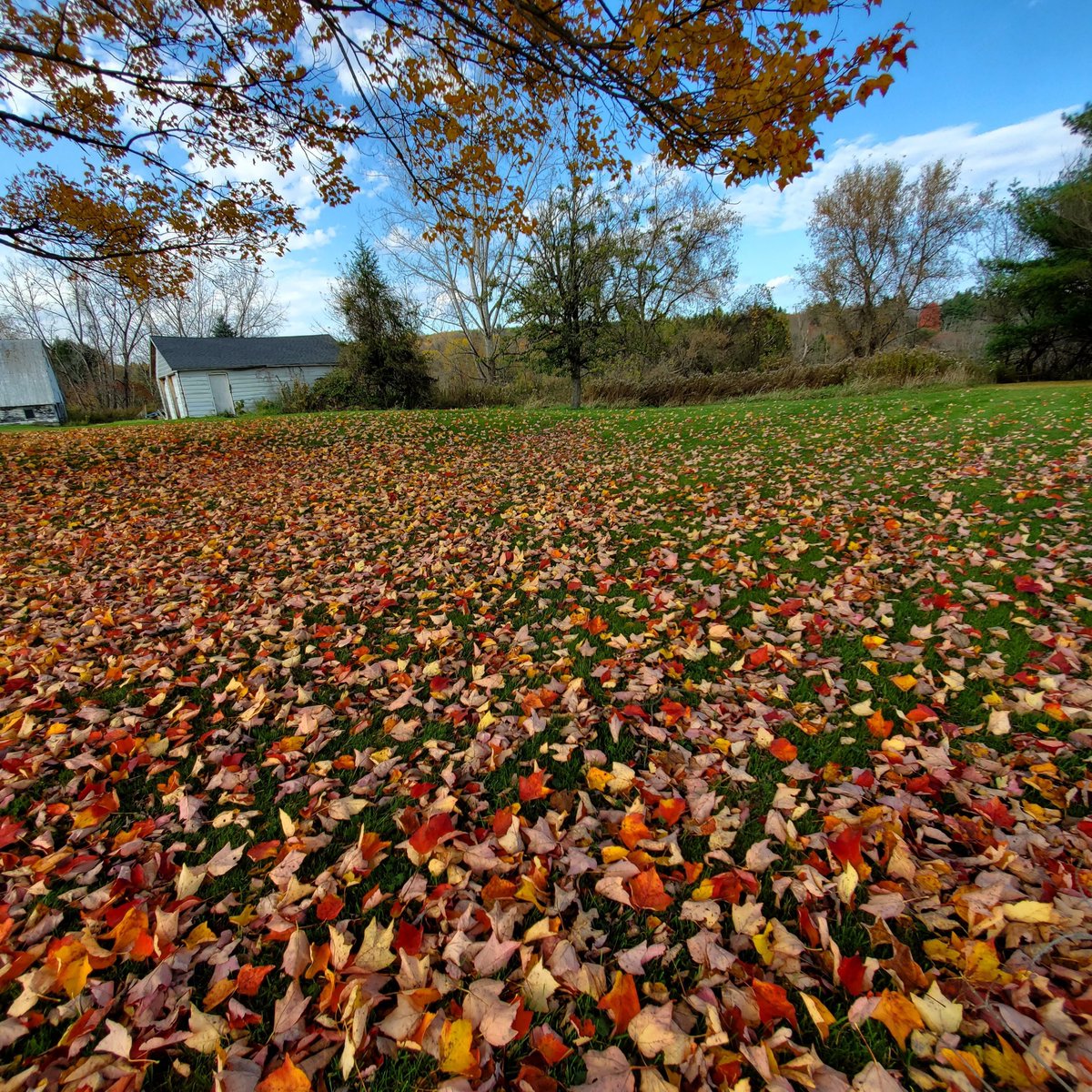 theukpa86's tweet photo. #fallday https://t.co/sT45S18E0O