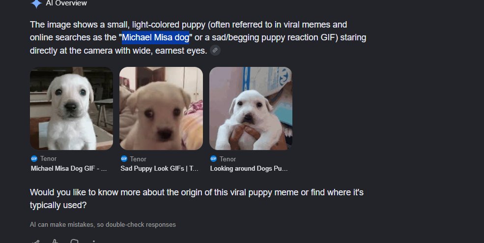 thedudethatdev's tweet photo. I GOT THE PERFECT DOG FOR THIS NARRATIVE THAT WE'RE HAVING.

THIS IS WAY TOO VIRAL LITERALLY SAW IT ALL OVER MY TIMELINE TODAY.

THE NAME IS MICHAEL MISA DOG https://t.co/G9ihdUV2q1