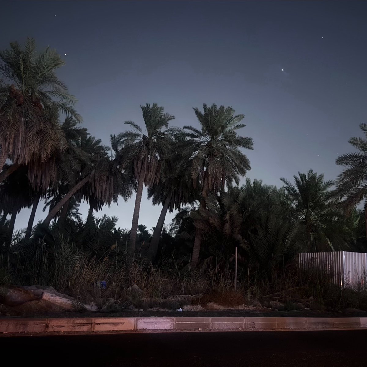IshraqAlghafli's tweet photo. October night 🌃🌴 https://t.co/nmBT527Aih