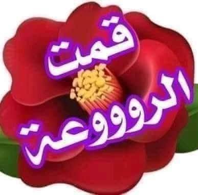 Almotmared125's tweet photo. @OmTala24814971 https://t.co/nfBednQWz9