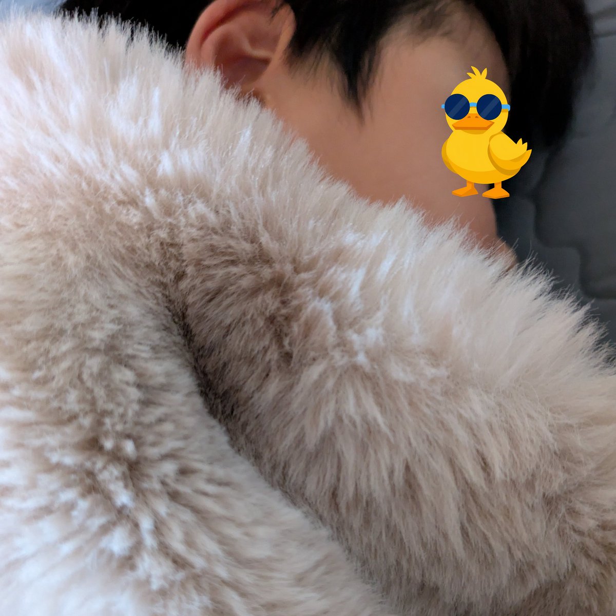 EmisSelect's tweet photo. おはようございます🌞

ふわとろ毛布に包まれて
息子はまだまだ爆睡中😴💕
よっぽど気持ちいいんだろうなぁ🤭

なんとも平和な朝です…笑

さて、そろそろ買い物に行かないと
冷蔵庫がすっからかん🤣💦

みなさんも素敵な日曜日を😊🍀
今日もゆるよろです♥️ https://t.co/jNZXzCHGj7