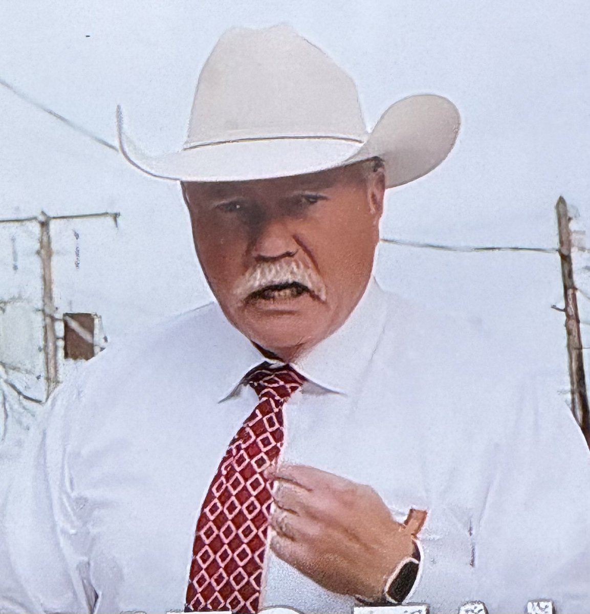 GallantSays's tweet photo. TEMU Wilford Brimley https://t.co/Leh2H0yGTi